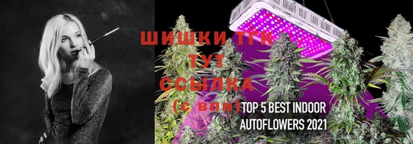 винт Балахна