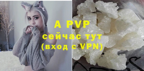 винт Балахна